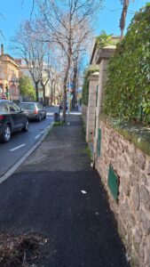 Viterbo – Vetri a terra nel quartiere Cappuccini: “Il mio cane ha rischiato di morire”