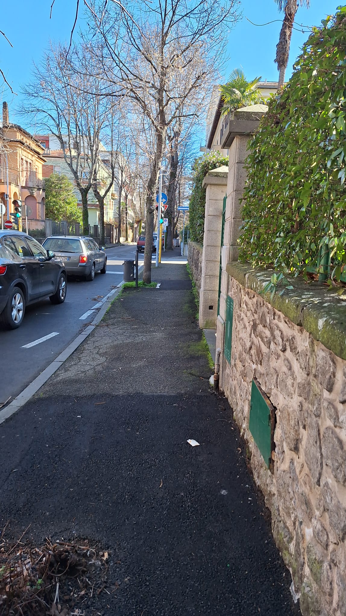 Viterbo – Vetri a terra nel quartiere Cappuccini: “Il mio cane ha rischiato di morire”