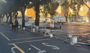 Civitavecchia – Taglio alberi al mercato, il Pincio chiarisce: “Perizia condivisa con la Soprintendenza, priorità alla sicurezza”