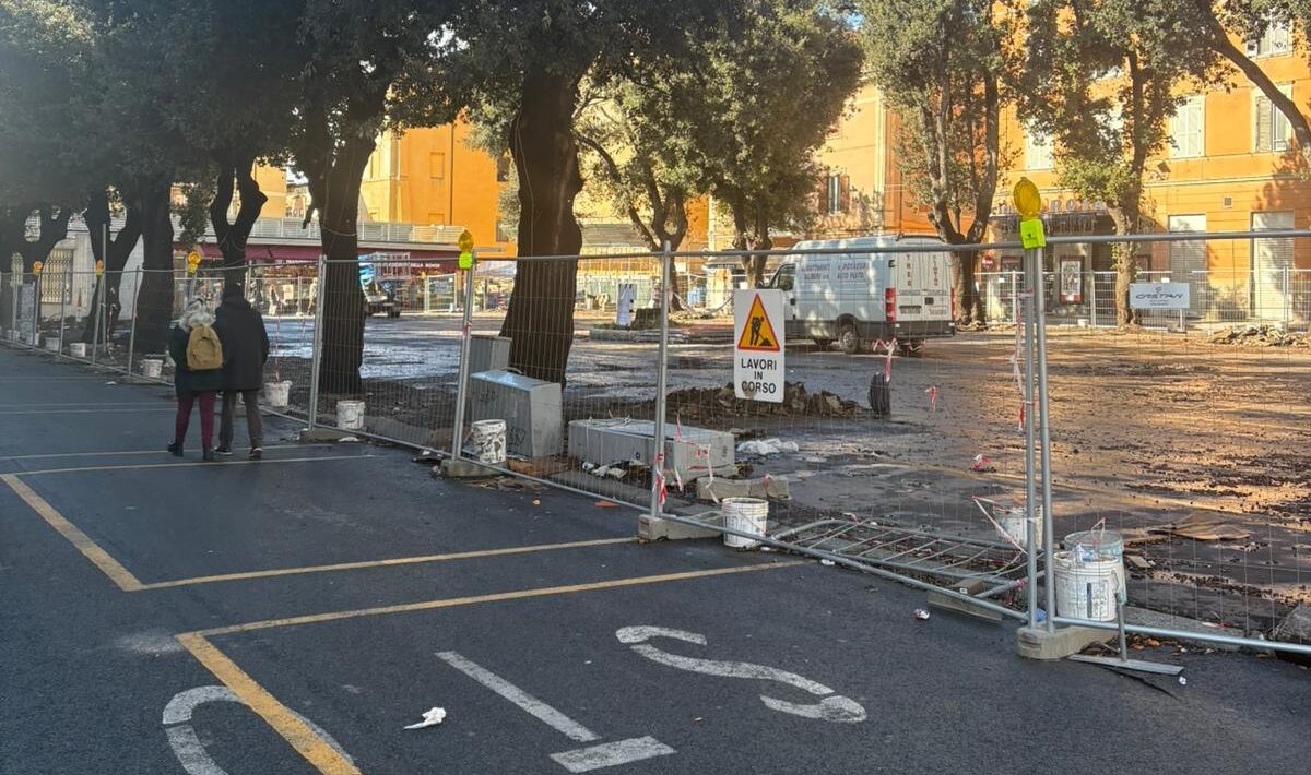 Civitavecchia – Taglio alberi al mercato, il Pincio chiarisce: “Perizia condivisa con la Soprintendenza, priorità alla sicurezza”