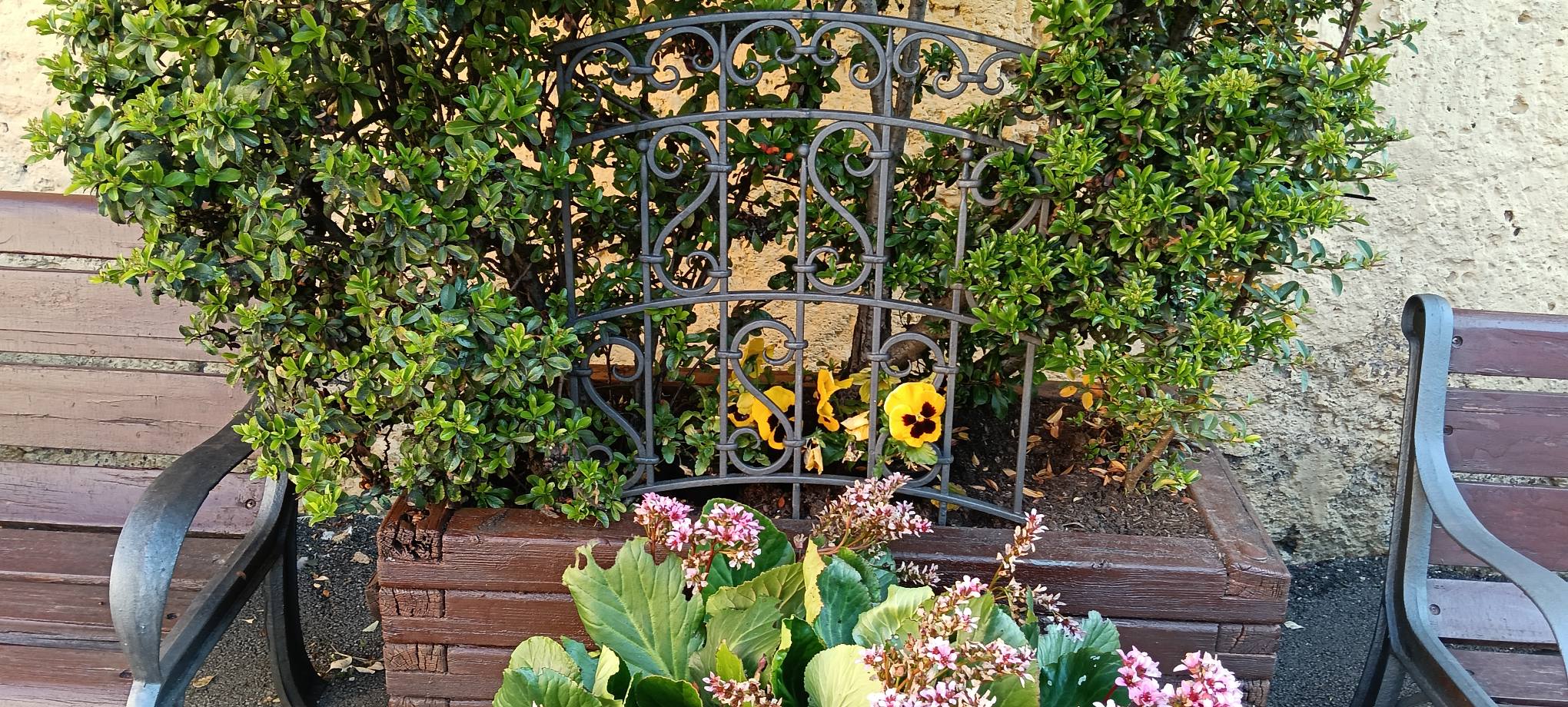 vasanello-rubata-la-statua-di-padre-pio-piazza-trilussa-residenti-non-si-tratta-della-prima-volta