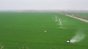 Cina, una fattoria smart trasforma la coltivazione dei cereali