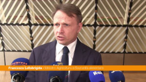 Agricoltura, Lollobrigida “Sui costi di produzione non si può più perdere tempo”