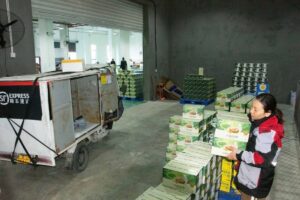 Cina, crescita costante per il settore postale nei primi due mesi dell’anno