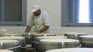 Cia lancia nuovo bando Bandiera Verde. Nel 2025 Premio Gold a Società Dall’Aglio