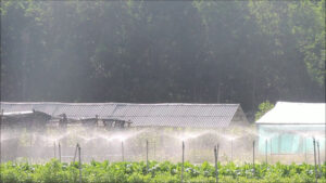 Nuove risorse per il Bando Agrisolare