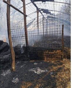 Ripi – Incendio distrugge stalla, morti 80 animali tra pecore ed agnelli