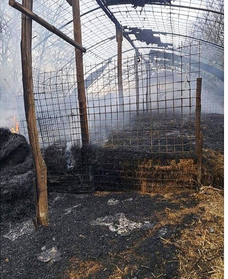 Ripi – Incendio distrugge stalla, morti 80 animali tra pecore ed agnelli