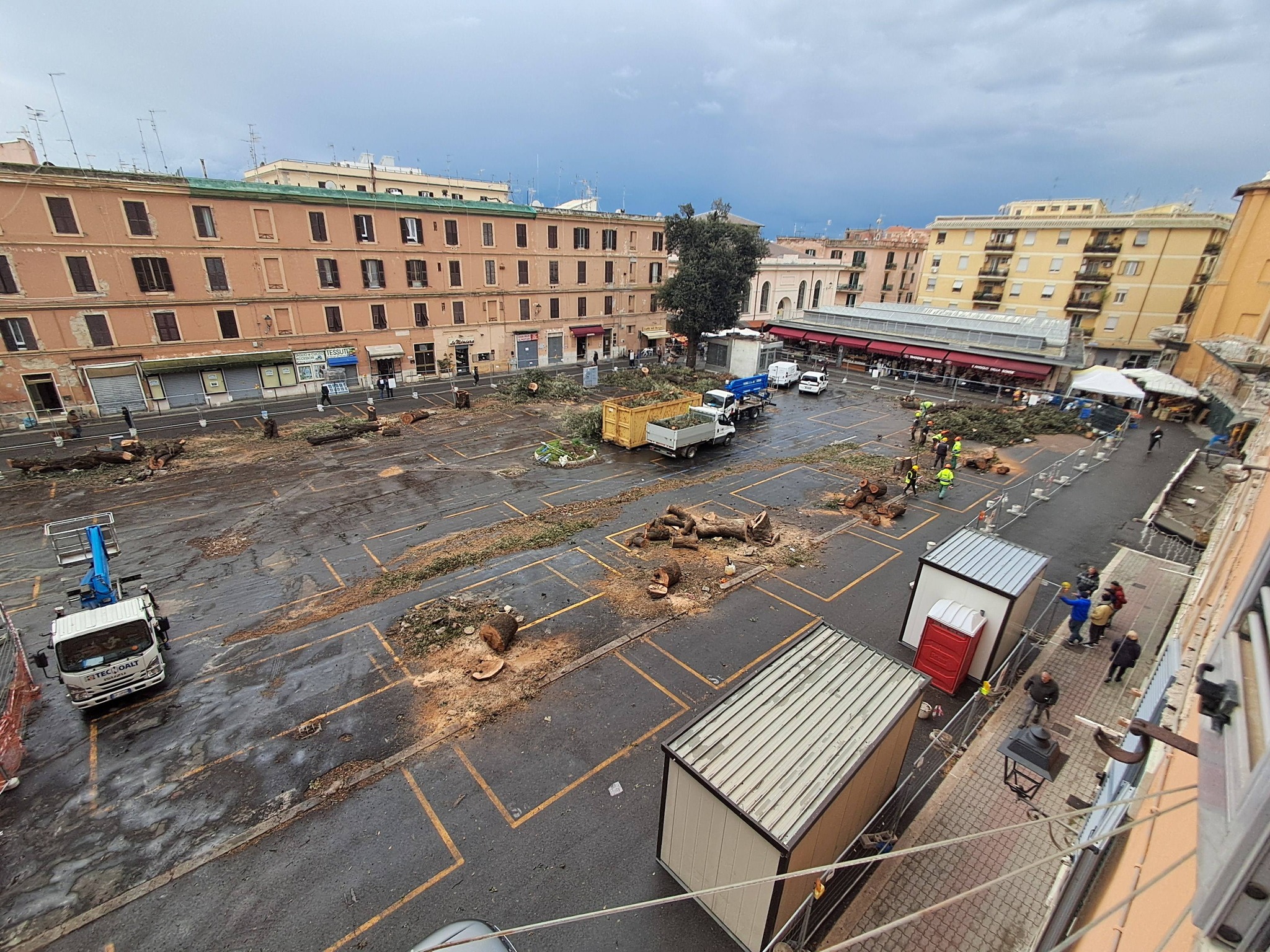 Mercato Civitavecchia – Il Comitato attacca, Giannini si difende: abbattuti gli ultimi lecci tra indignazione e tumulto
