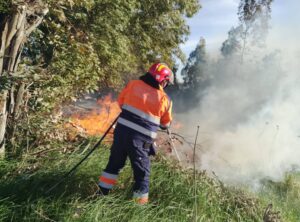Tarquinia – Incendio a bordo ferrovia: intervento di AEOPC e Vigili del Fuoco (FOTO)