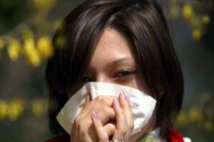 Allergie: effetto pollini sugli esami di maturità, i voti calano quando sono nell’aria