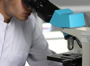 Cancro al seno, svolta per cure su misura dall’identikit del tumore resistente ai farmaci