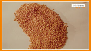 Sorsi di Benessere – L’insalata di lenticchie