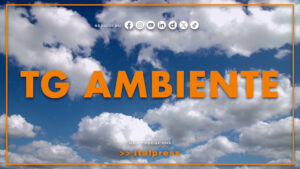 Tg Ambiente – 1/3/2026