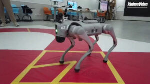 Cina: cani robot controllati con la mente diventano realtà a Xi’an