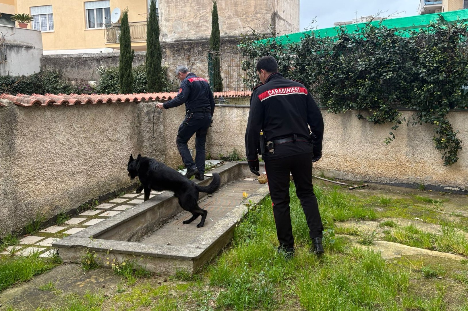 Blitz dei Carabinieri tra Anzio e Nettuno: droga, arresti e choc a scuola, 14enne trovata con un coltello