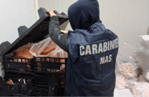 Viterbo – Controlli in un bar e minimarket nell’area di viale Trento: sequestrati 500 kg di alimenti