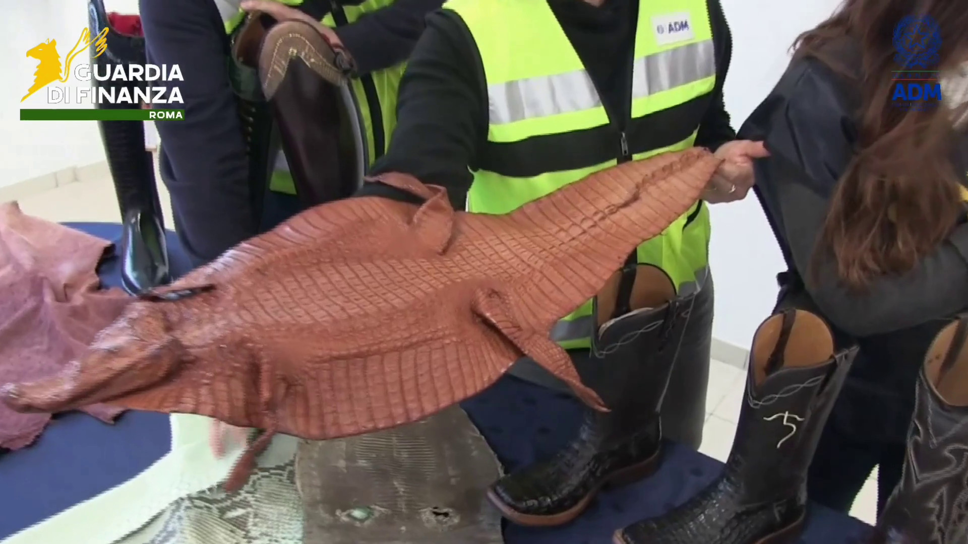 scoperto-allaeroporto-di-fiumicino-un-traffico-illegale-di-pelli-di-rettile