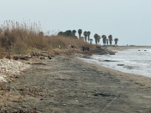 Ladispoli – Torre Flavia minacciata dall’emergenza erosione: intervengono i tecnici della Regione