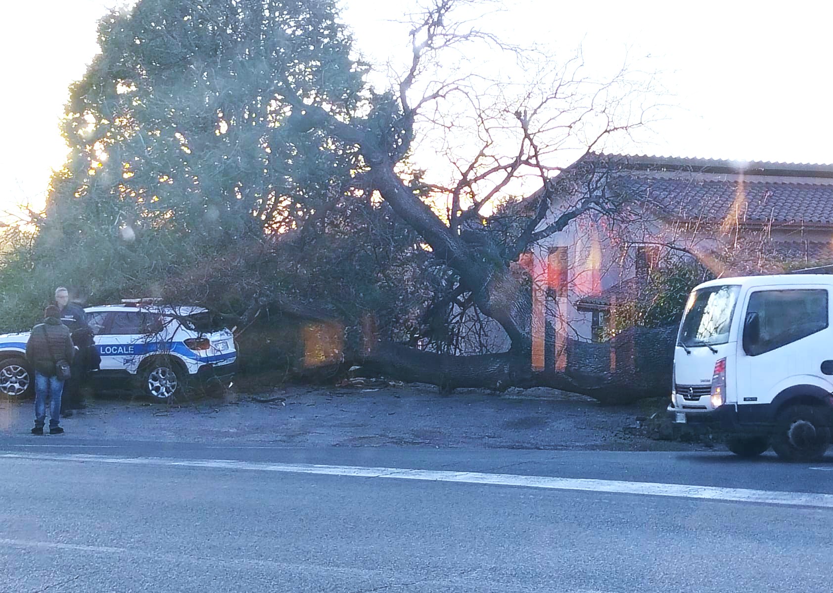 Vitorchiano – Enorme quercia si schianta contro auto della polizia locale, sfiorata tragedia al Pallone