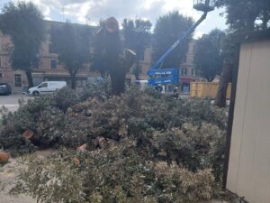 Civitavecchia – Contromossa del Pincio all’alba del giorno dopo: abbattimenti al via (FOTO)