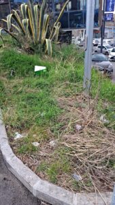 Viterbo – Parcheggio del Pewex in stato di abbandono: Non era Francigena che doveva gestirlo?