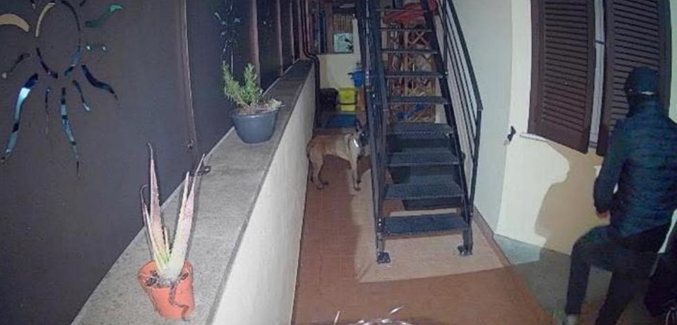Civitavecchia – Tentato furto in zona Tribunale: ladri ripresi dalle videocamere e messi in fuga da un cane