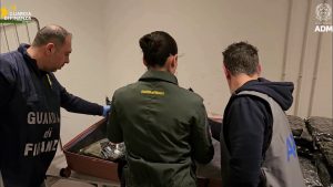 Arrestata passeggera con 17 kg di marijuana all’aeroporto di Malpensa