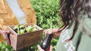 Prodotti locali, 8 italiani su 10 scelgono qualità e sostenibilità