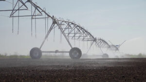 Economia circolare nei campi, imprese sempre più green