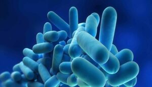 Allarme legionella in albergo a Frosinone, chiuse alcune stanze