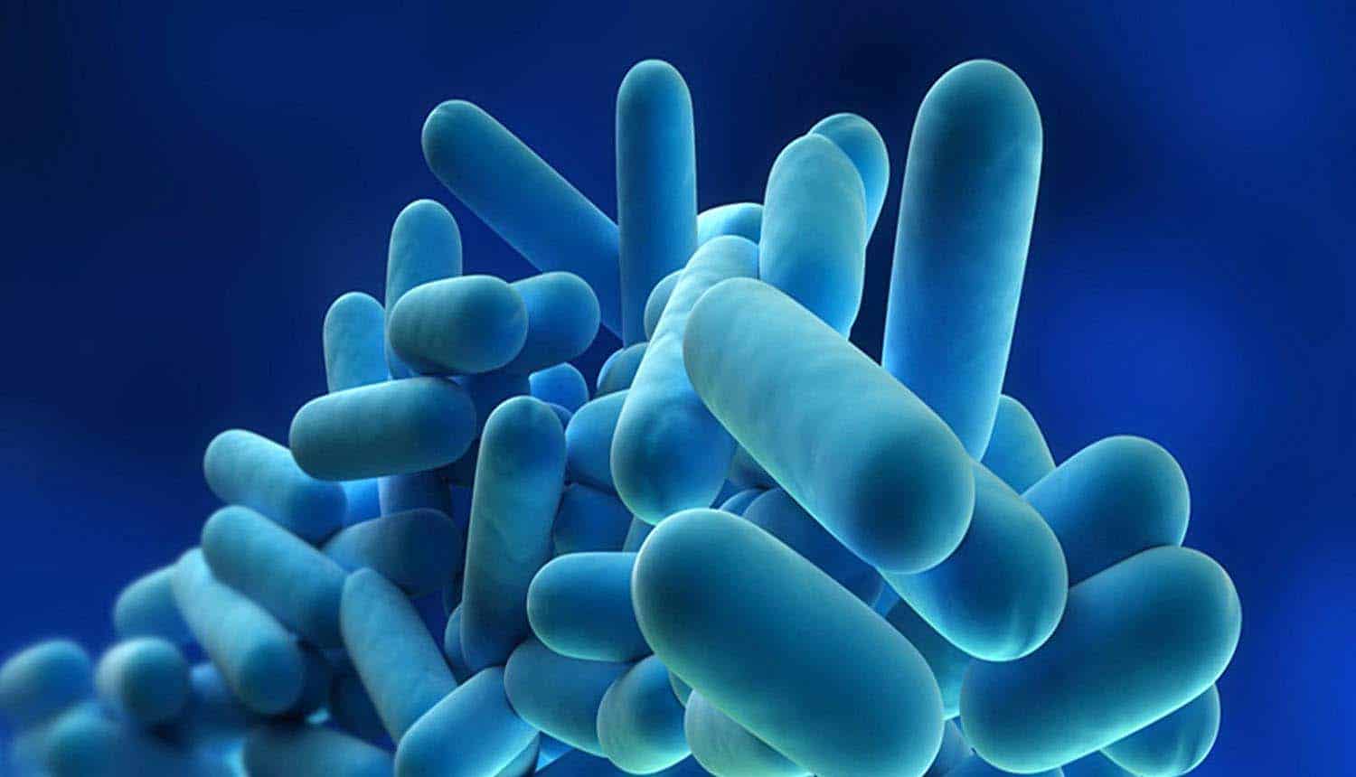 Allarme legionella in albergo a Frosinone, chiuse alcune stanze