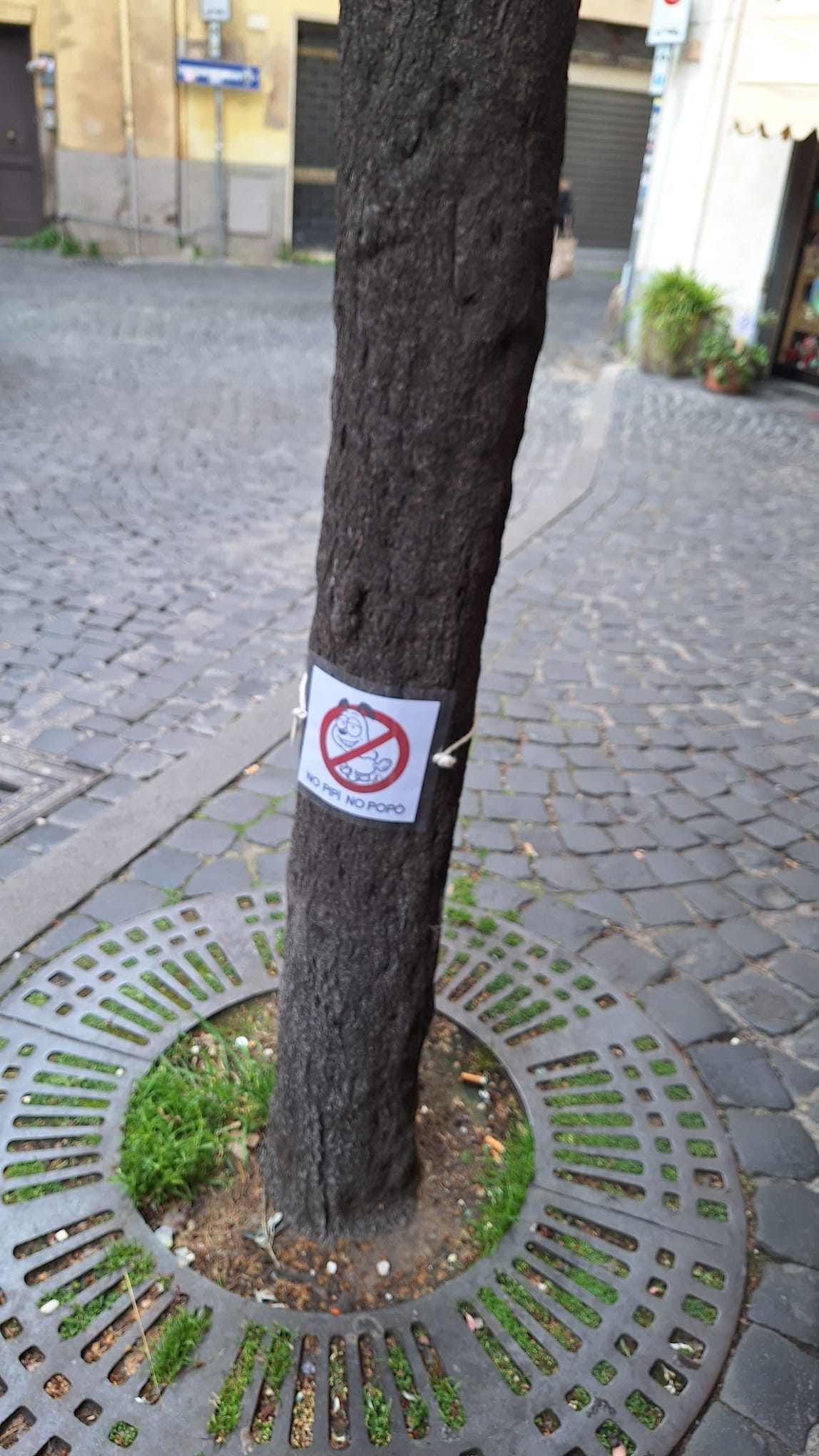 Viterbo – Divieto di pipì e popò per i cani: spuntano cartelli in centro