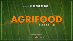 Agrifood Magazine – 11/3/2026
