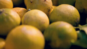 Imprese, la formazione leva strategica per l’internazionalizzazione