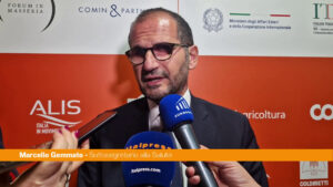 Governo, Gemmato “Rimpasto? Non lo vedo all’orizzonte”