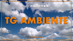 Tg Ambiente – 8/3/2026