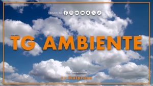 Tg Ambiente – 29/3/2026