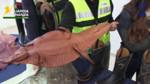 Scoperto all’aeroporto di Fiumicino un traffico illegale di pelli di rettile