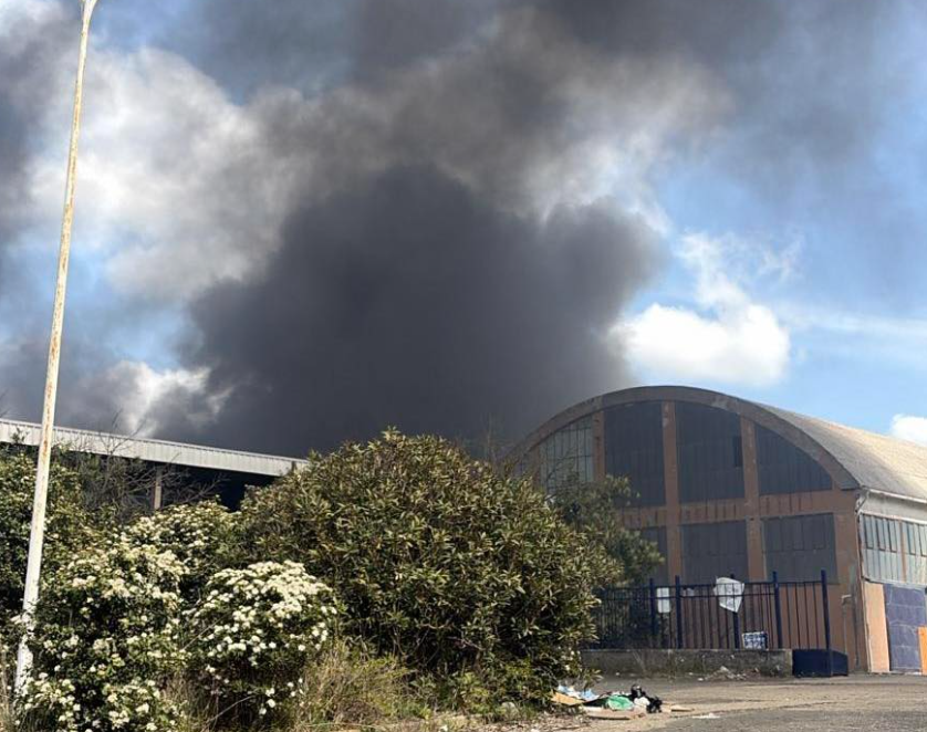 Incendio tra Bagnoregio e Montefiascone, De Santis: “Nessuna criticità per la popolazione ma resta monitoraggio costante”