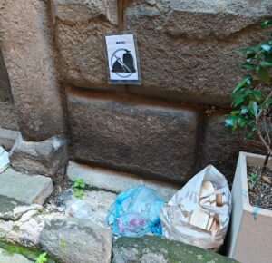 Viterbo – Centro Storico: l’anarchia dei sacchetti. In via Saffi “vincono gli zozzoni” (FOTO)