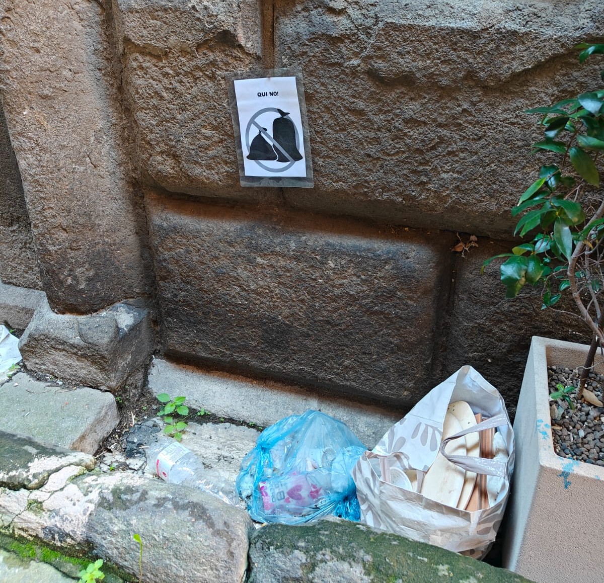 Viterbo – Centro Storico: l’anarchia dei sacchetti. In via Saffi “vincono gli zozzoni” (FOTO)