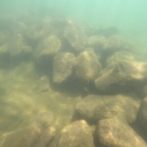 Tradizione storica emerge dalle acque, vasche per canapa sativa sulle rive del lago di Bolsena