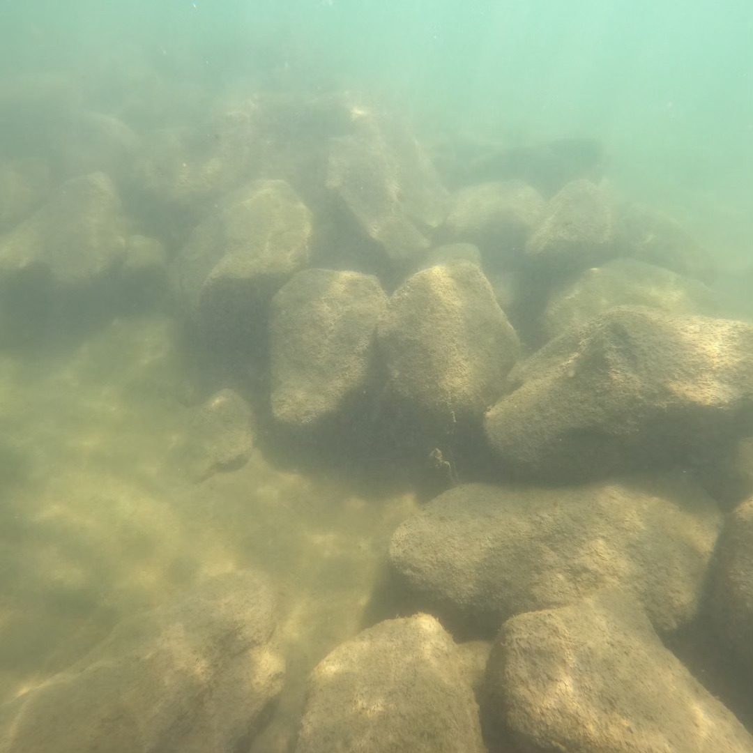 Tradizione storica emerge dalle acque, vasche per canapa sativa sulle rive del lago di Bolsena