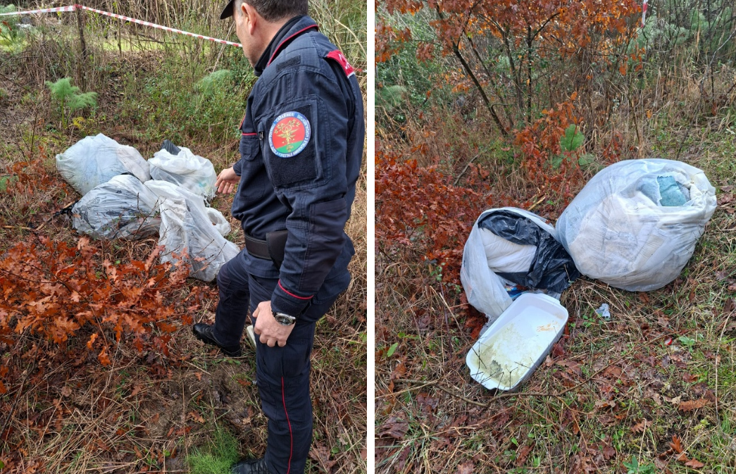 Vetralla – Abbandona rifiuti in un bosco: denunciato dai Carabinieri Forestali