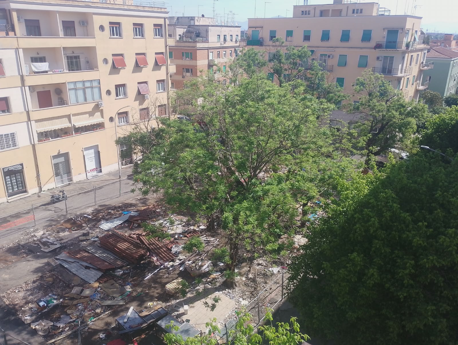 Roma – Alberi sani a rischio abbattimento in piazza Bologna, ecco l’interrogazione del consigliere Santori