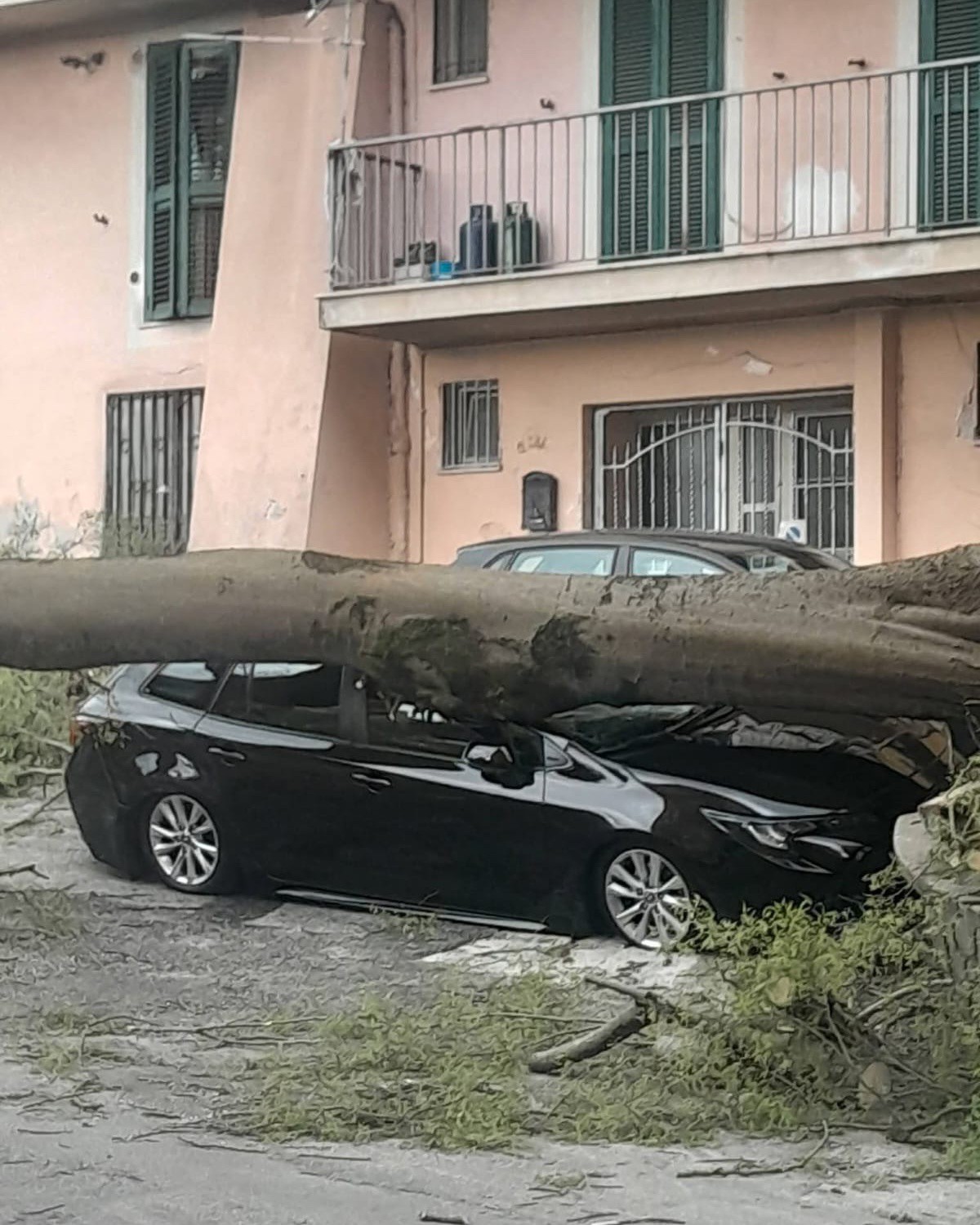 Frosinone – Tragedia sfiorata a via delle Fosse Ardeatine: il vento fa crollare un grosso albero sulle auto parcheggiate