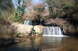 Viterbo – Alla scoperta di Roccarespampani con le nuove visite guidate