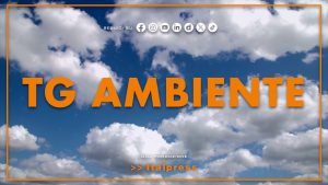 Tg Ambiente – 5/4/2026