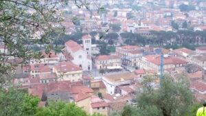 Comune di Sora delibera un dog park da 1500 metri quadrati